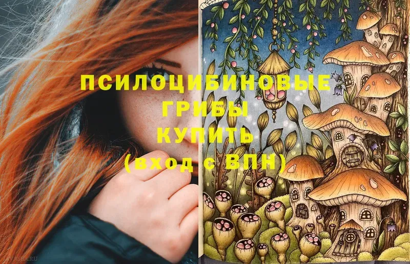 Галлюциногенные грибы Magic Shrooms  Ртищево 